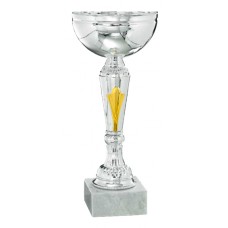 Taça Promo Line  
